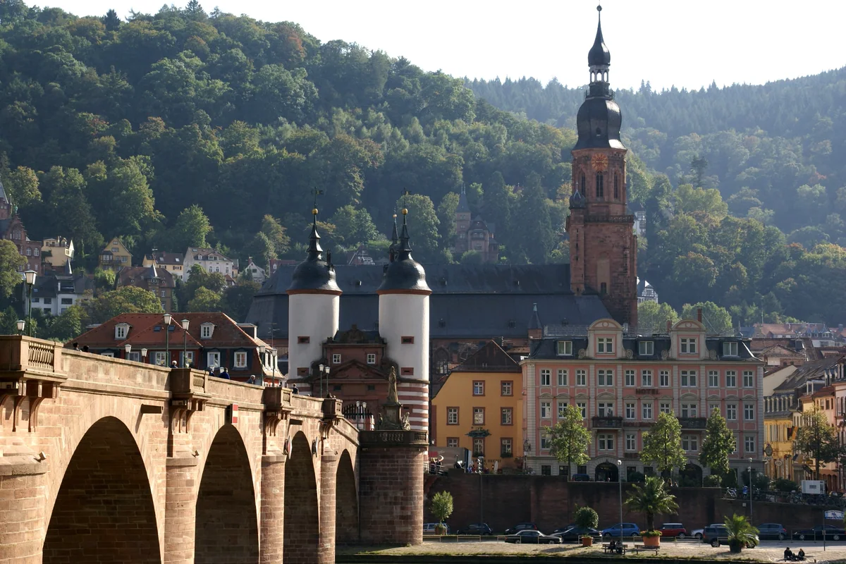 Heidelberg University