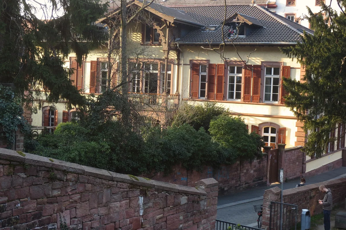 Heidelberg University