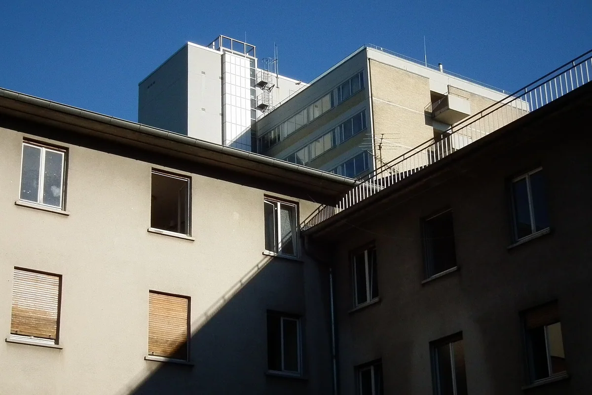 Heidelberg University