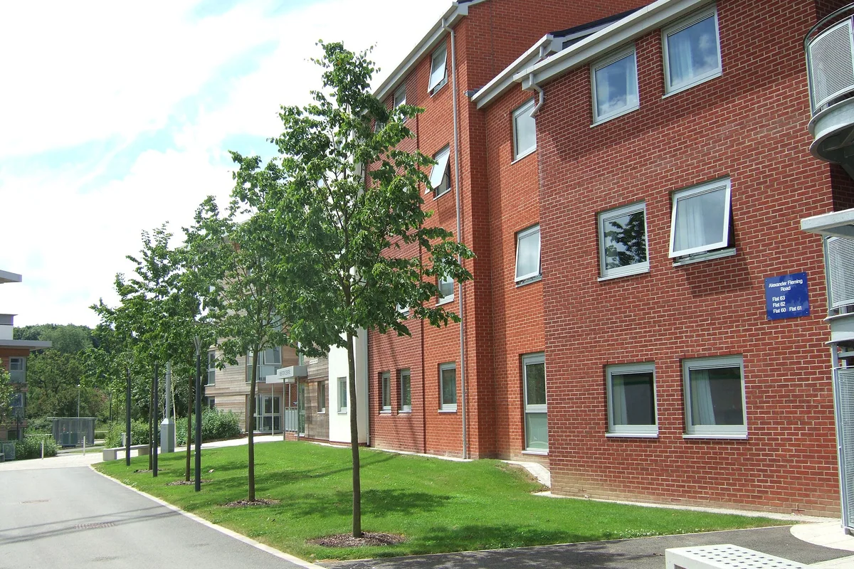 University of Surrey
