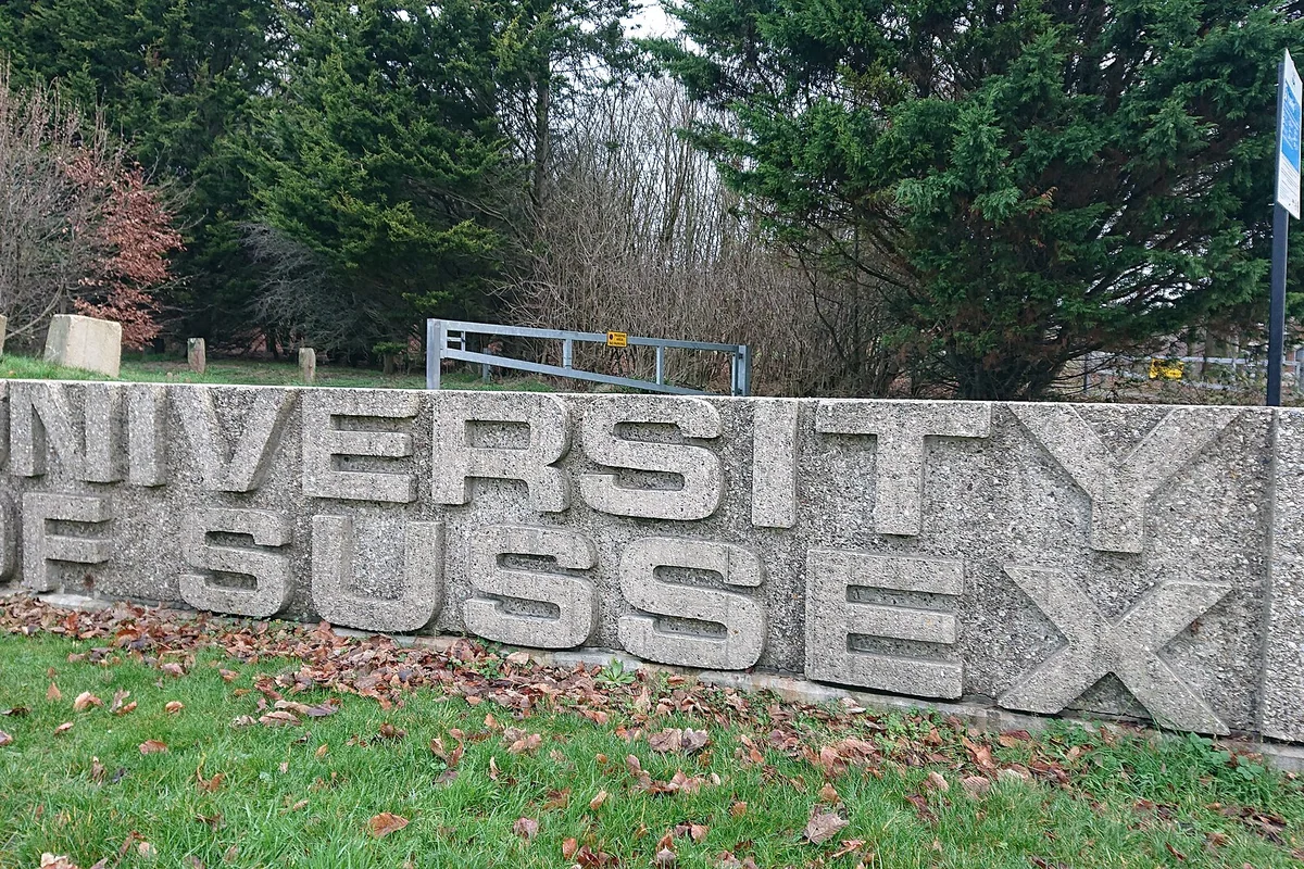 University of Sussex