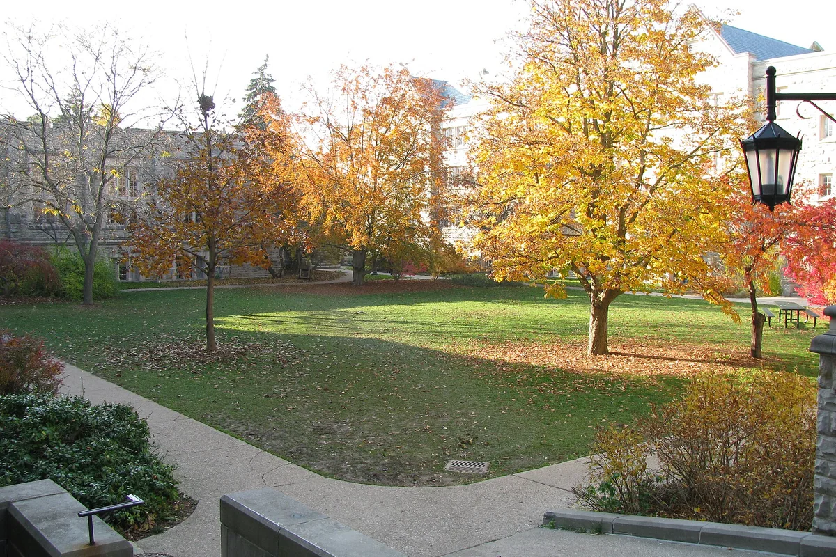 Western University