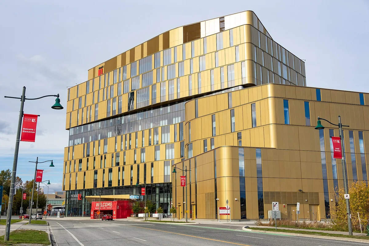 York University