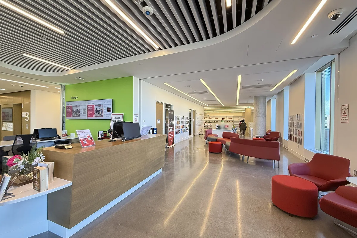 York University