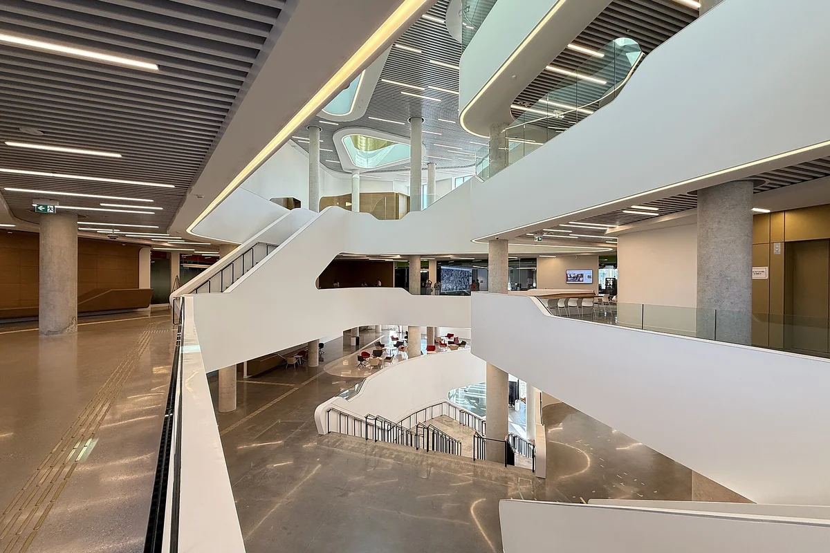 York University