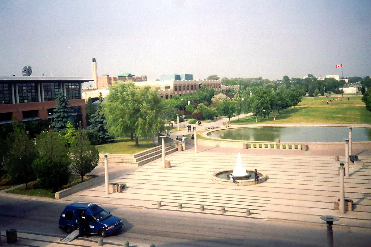York University